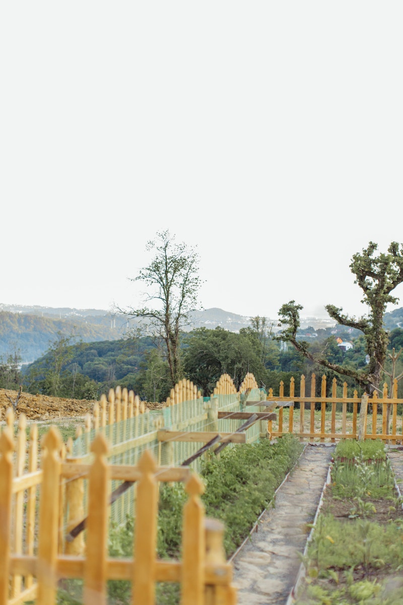 After: Clean cleared perimeter