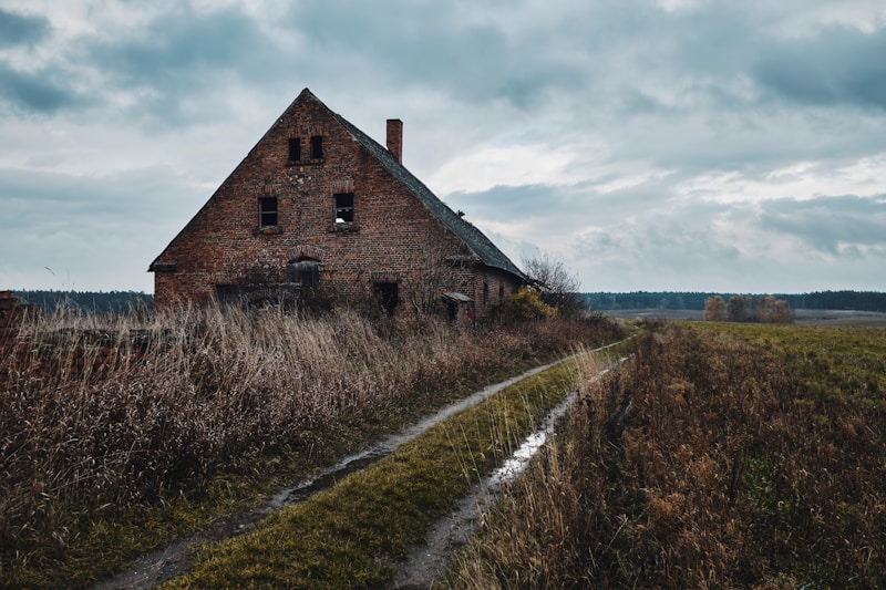 Before: Abandoned overgrown property